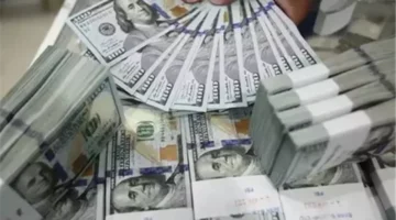 سعر اليوم.. الدولار يستقر أمام الجنيه المصري الجمعة